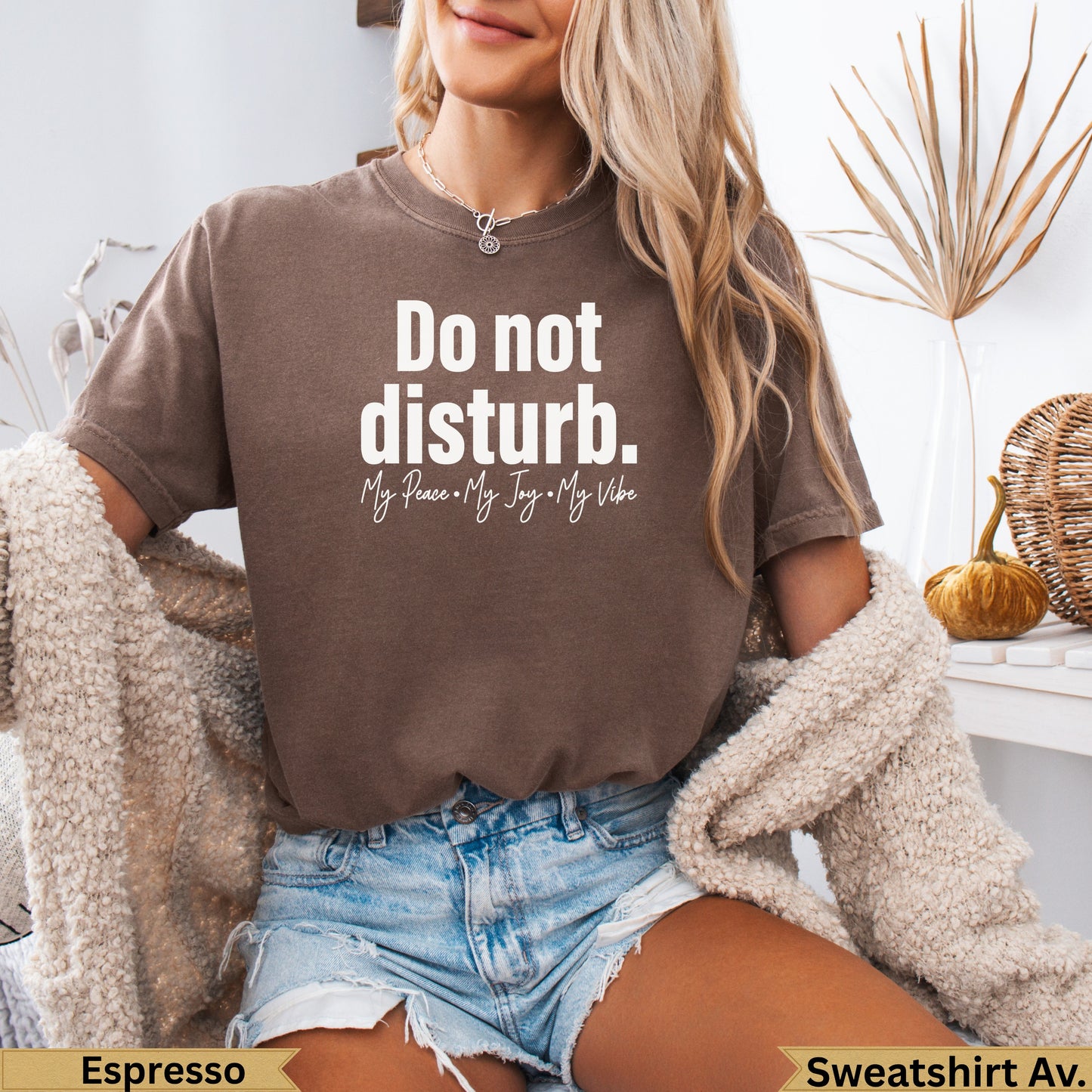 Brown sweatshirt with "Do not disturb. My Peace • My Joy • My Vibe" text.