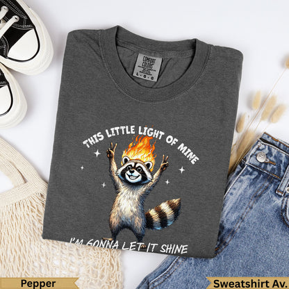 Dark charcoal t-shirt with raccoon graphic and text.