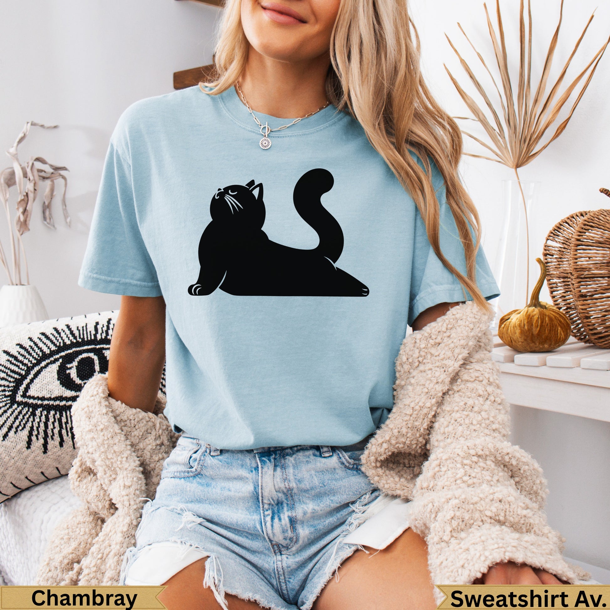 Light blue t-shirt with black cat graphic, chambray text below.
